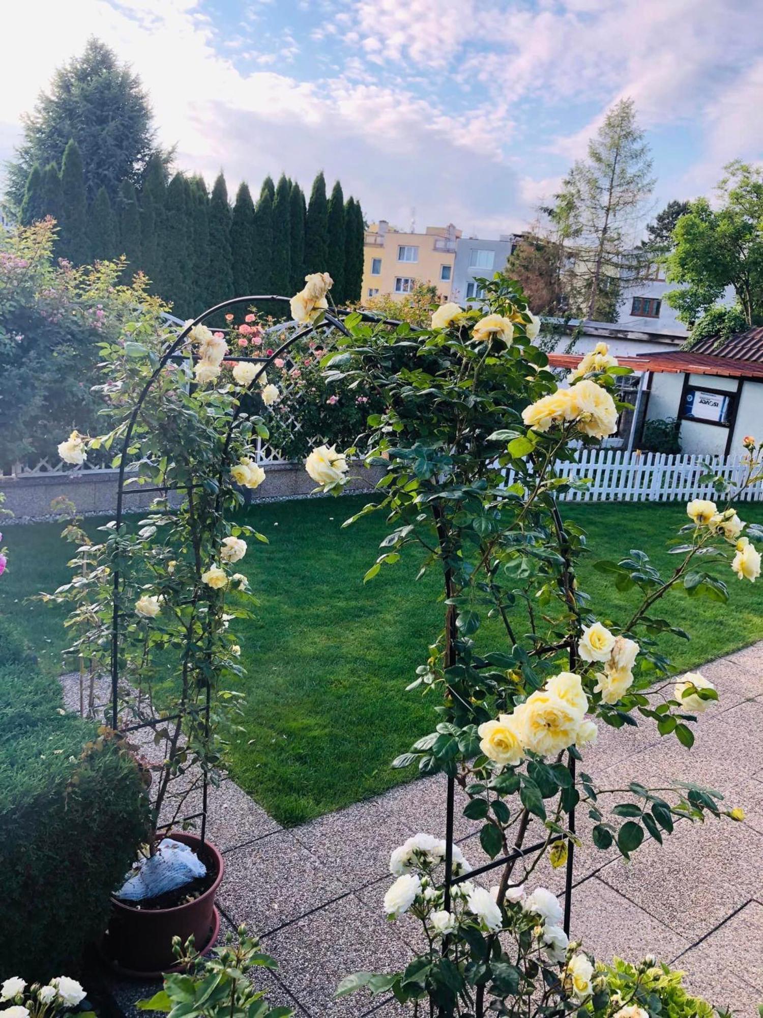 Ubytovani Na Hrazi 91 Znojmo Exterior foto